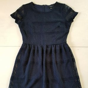 Ann Taylor | Dress Lace